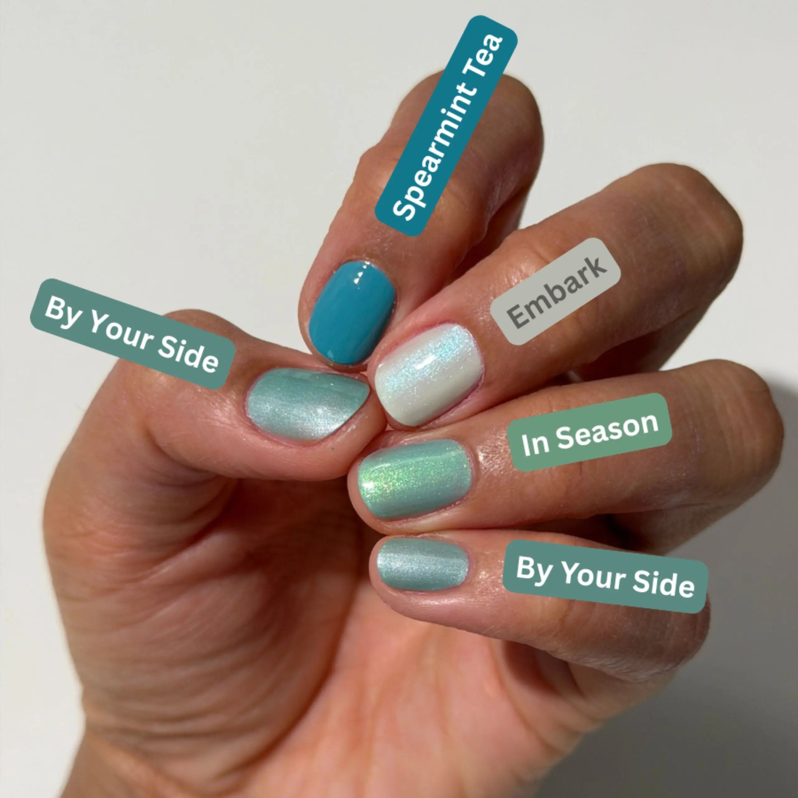 Dazzle Dry Australia & New Zealand IN SEASON