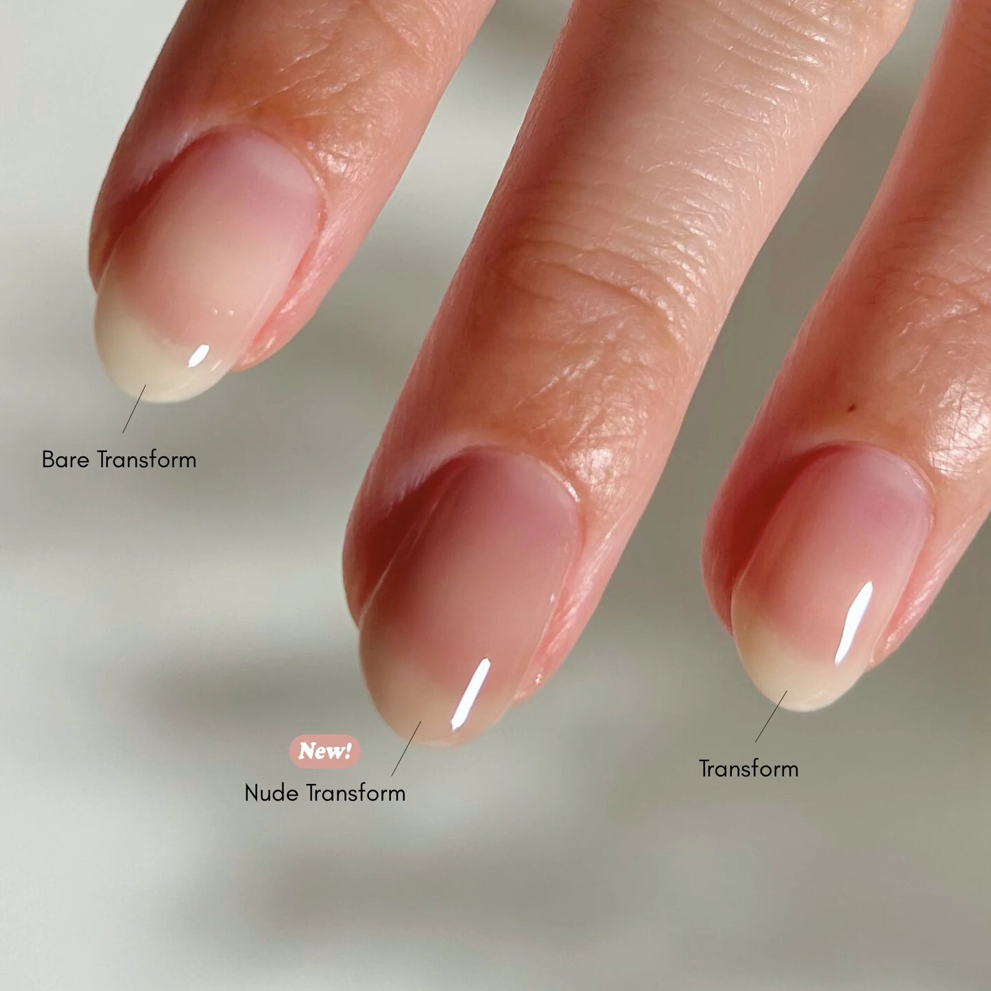 TRANSFORM RIDGE FILLER