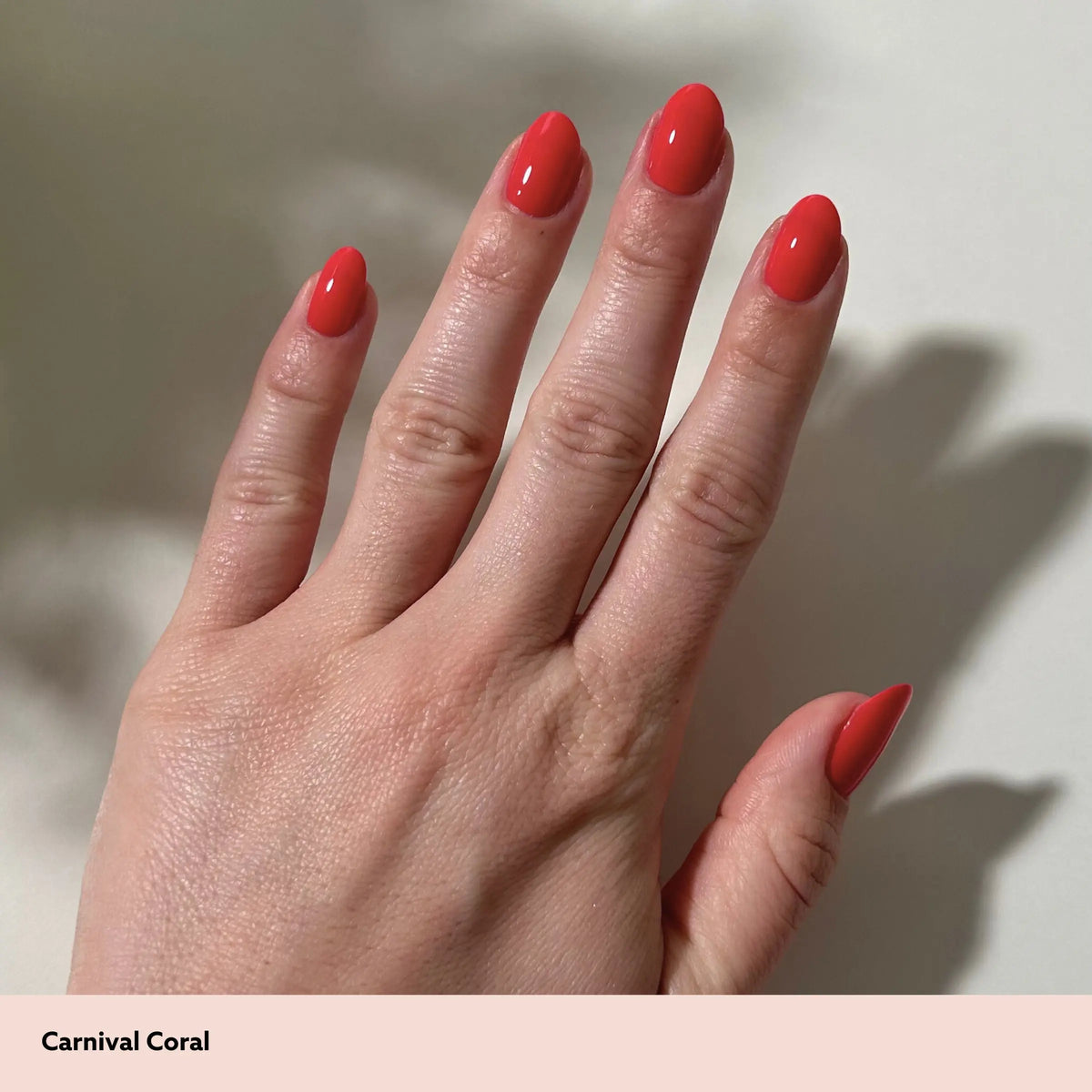 Dazzle Dry Australia & New Zealand MINI KIT CARNIVAL CORAL