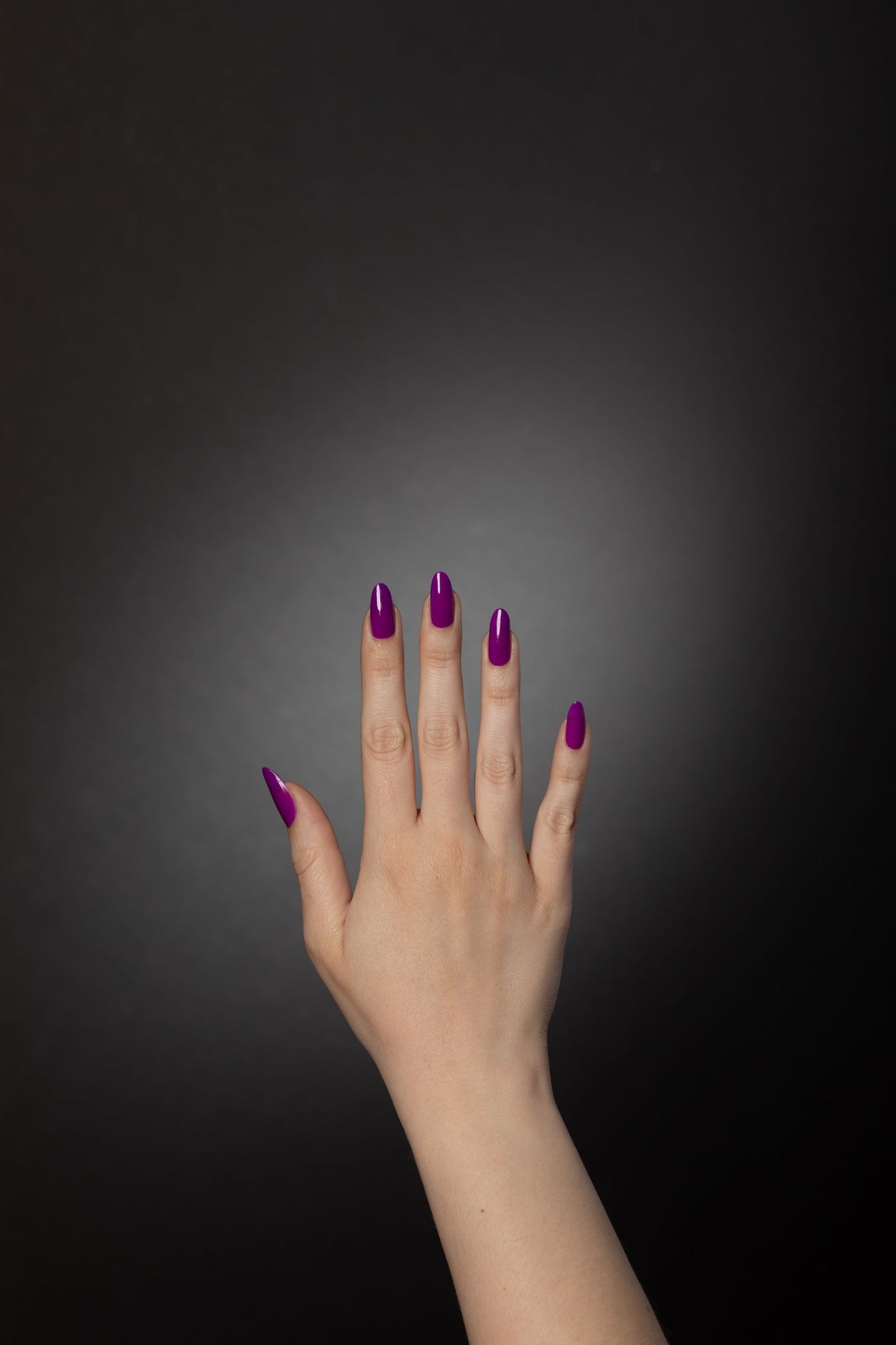 VIOLET VELVET